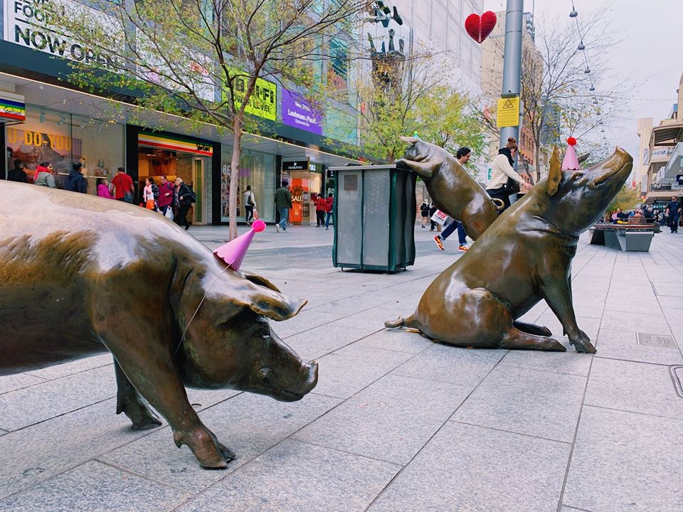 Happy 21st Birthday to the Rundle Mall Pigs - Play & AdelaidePlay & Adelaide