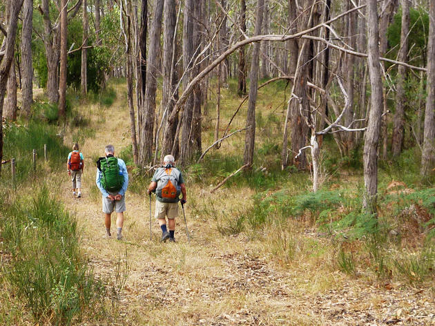 The Adelaide100® New Walking Trail | 100km Walking Trail Loop around