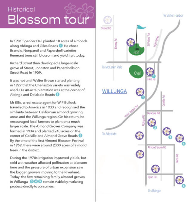 blossom tour