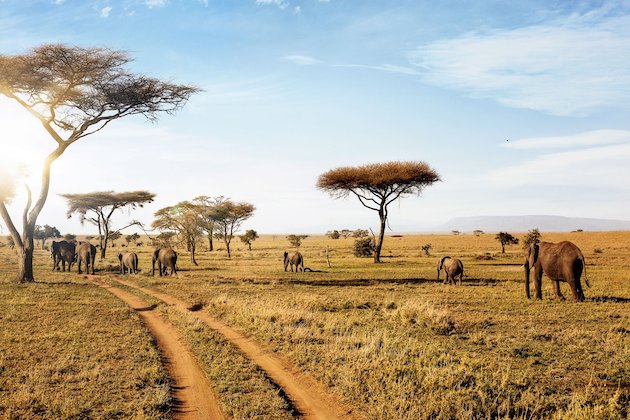 virtual tour of african safari