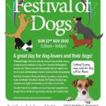 festival of dogs