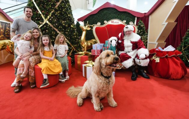 Santa Photography at Westfield, incl Sensitive Santa & Pet Photography