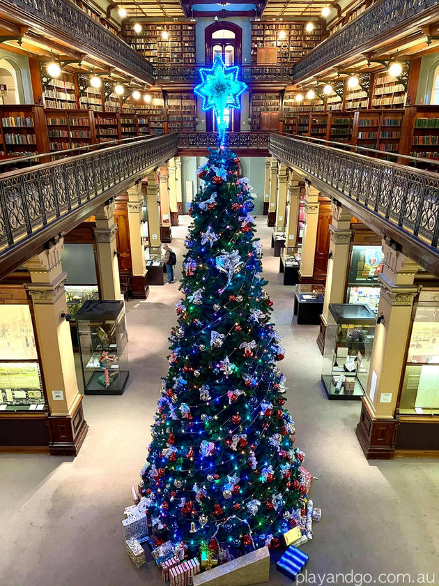 Giant Tree Mortlock State Library