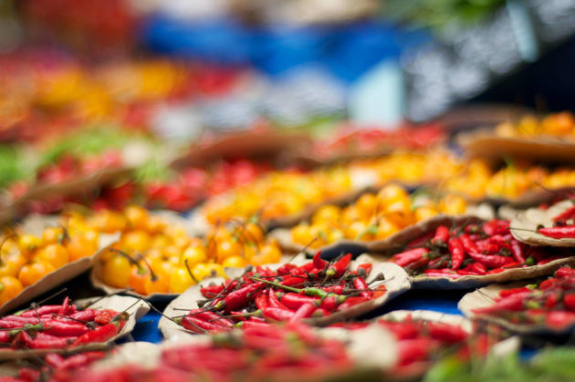 chilli fest willunga