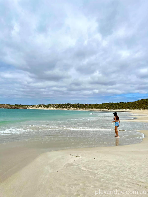 Dolphin Beach, Dhilba Guuranda-Innes National Park