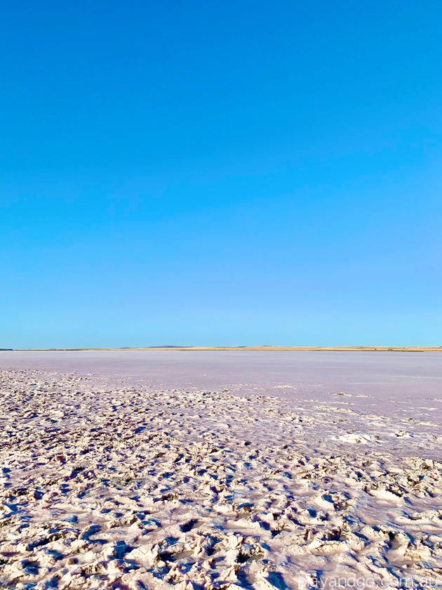 Lake Bumbunga Pink Lake South Australia