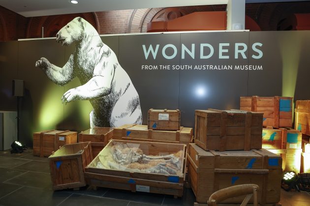 Wonders South Australian museum