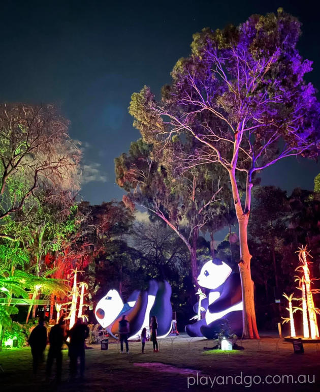 Light Creatures at Adelaide Zoo Illuminate Adelaide 29 June 23