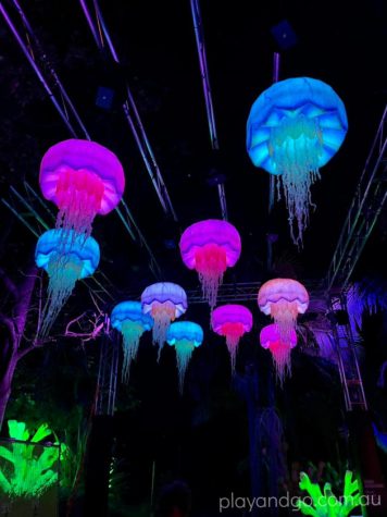 Light Creatures at Adelaide Zoo | Review - Play & Go AdelaidePlay & Go ...
