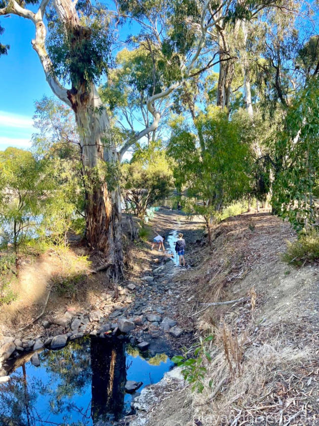 Wittunga Botanic Garden Nature Playspace