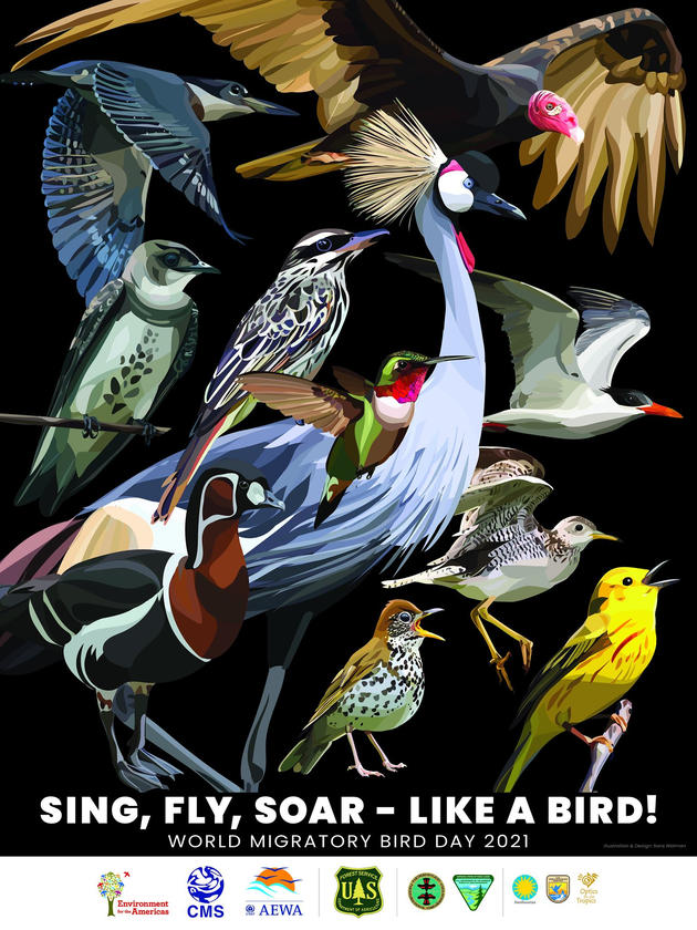 World Migratory Bird Day