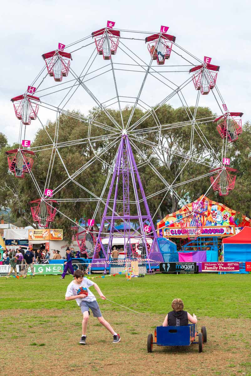 Willunga Almond Blossom Festival 2728 Jul 2024 Play & Go