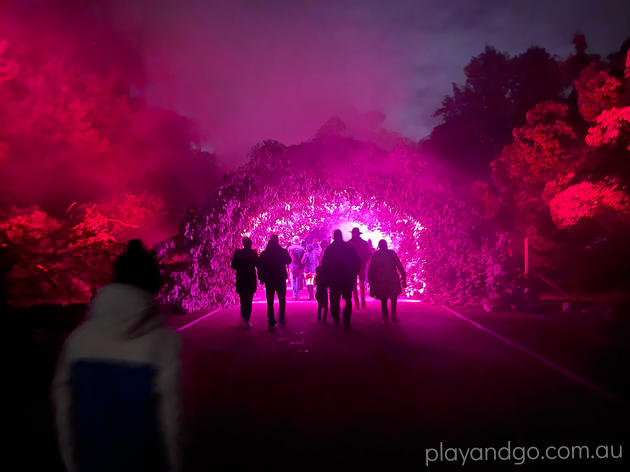 Light Cycles Illuminate Adelaide