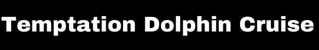 Temptation Dolphin Cruise
