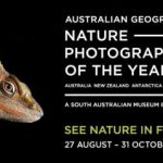 nature photographer of the year