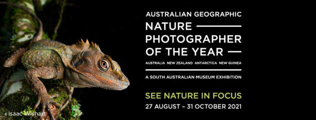 nature photographer of the year