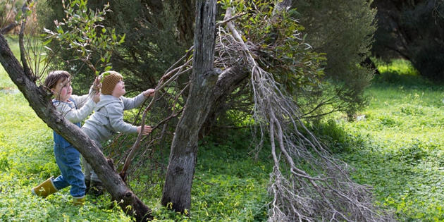 seafood meadows nature play