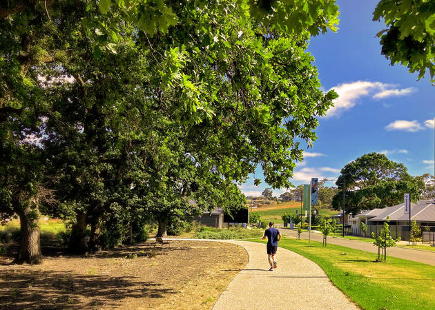 bluestone pathway