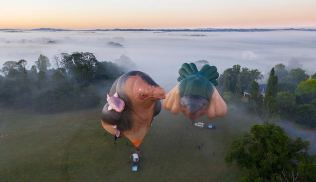 skywhale