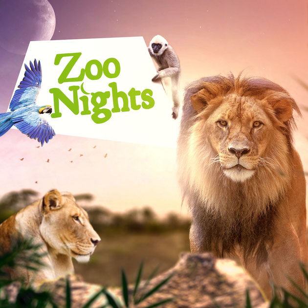 Zoo Nights at Adelaide Zoo  Jan 2024 - Play & Go AdelaidePlay & Go Adelaide