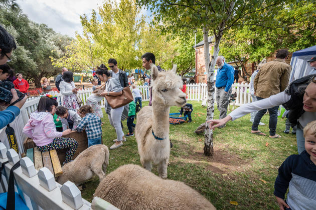 Seymour College free street fair