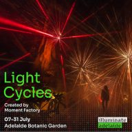 light cycles illuminate