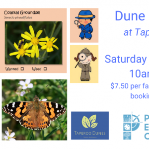 Dune Detectives trybooking