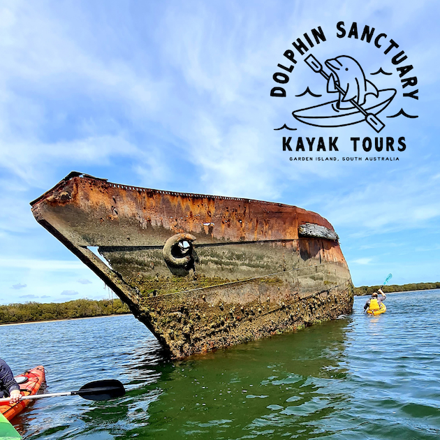 dolphin sanctuary kayak tours