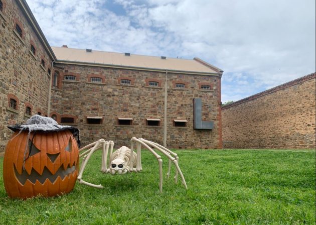 Adelaide Gaol Halloween