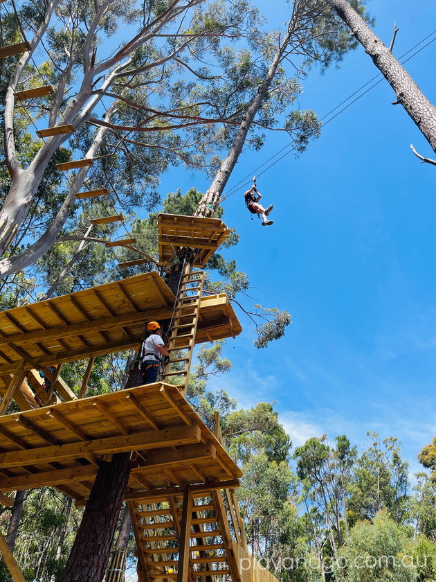 TreeClimb Aerial Adventure Park, Adelaide & Kuitpo Forest
