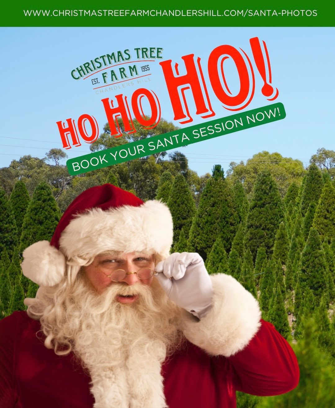 Christmas Tree Farm Chandlers Hill South Australia Cat Fish Waiter