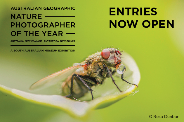 Entries Open for Australian Geographic Nature Photographer of the