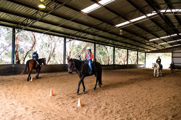 Wirraway Horse