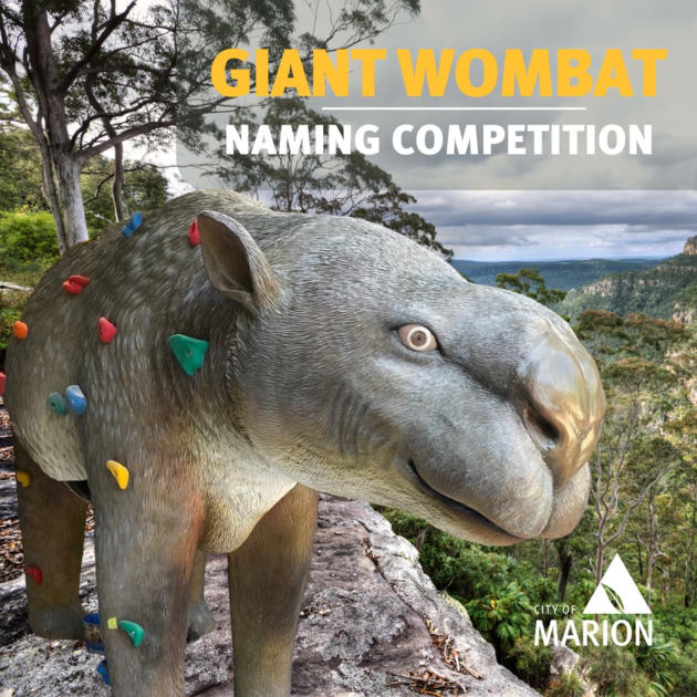 giant wombat naming competition