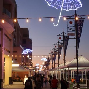 places to visit in adelaide in winter