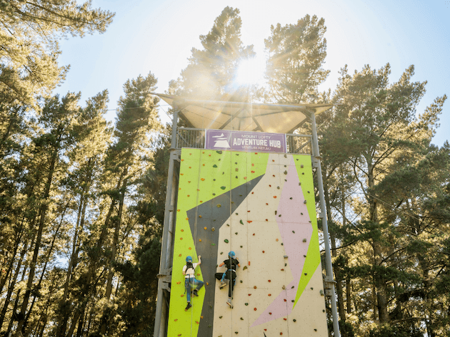 Adventure Hubs Giant Climbing Wall