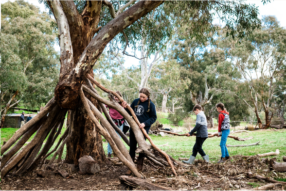 Wirraway Homestead Musters | July School Holidays 2024 - Play & Go ...