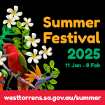 City of West Torrens Summer Festival