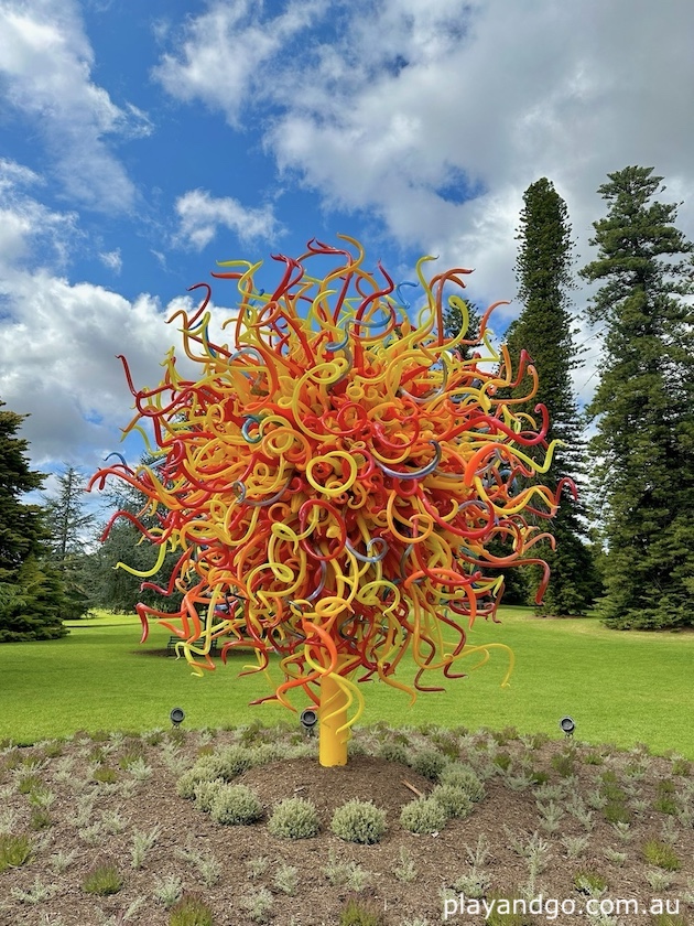 Chihuly glass art sculptures Adelaide Botanic Garden