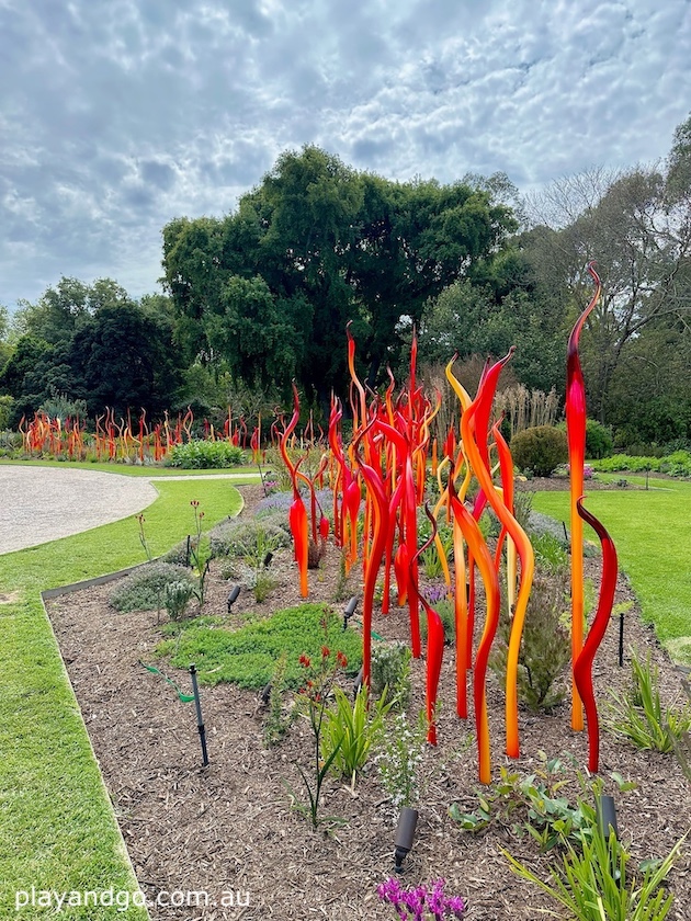 Chihuly glass art sculptures Adelaide Botanic Garden