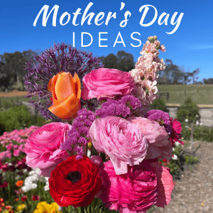 Mother's Day Adelaide ideas