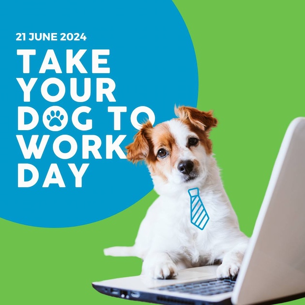 National Take Your Dog to Work Day 21 Jun 2024 Play & Go