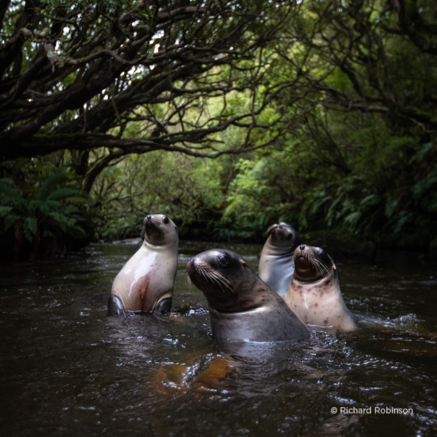 2025 Australian Geographic Nature Photographer of the Year are open until Thursday 6 February 2025 at 5:00pm ACDT.