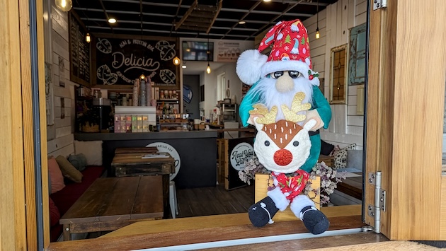 Melbourne Street Christmas Gnome Trail Competition