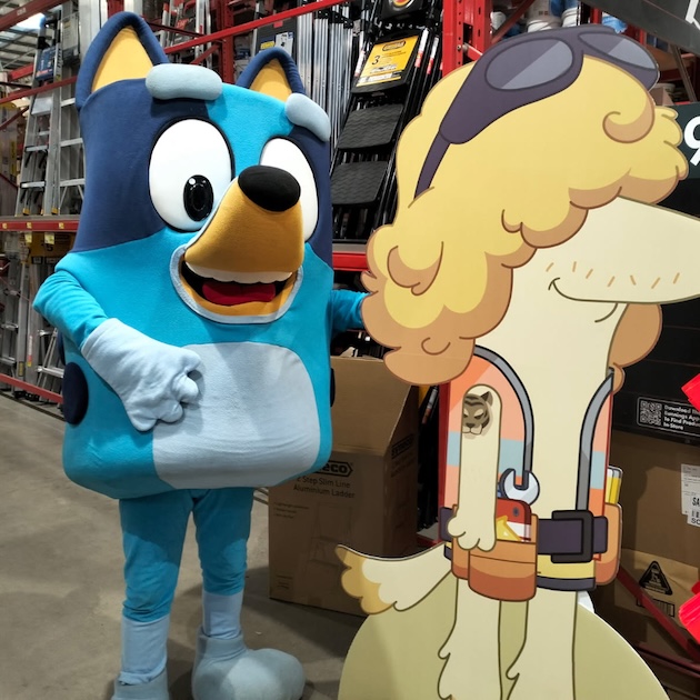 City of Salisbury Harmony