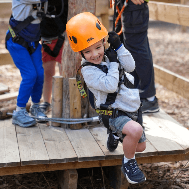 TreeClimb