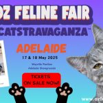 oz feline fair