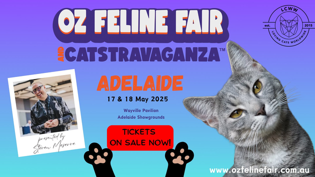 oz feline fair