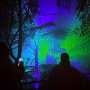 Night Visions - Illuminate Adelaide 202620