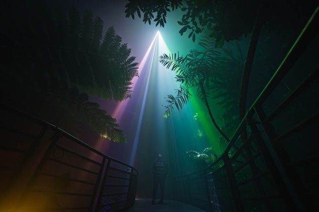 Night Visions Illuminate Adelaide